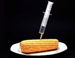 ГМО: запретить нельзя выращивать...

