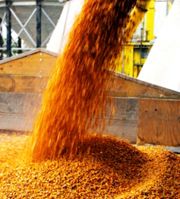 ЕАБР: Украина способна влиять на ситуацию на мировом зерновом рынке