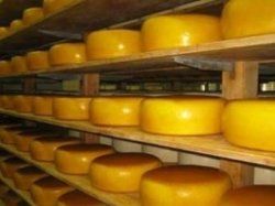 Украинский сыр снова в российской мышеловке
