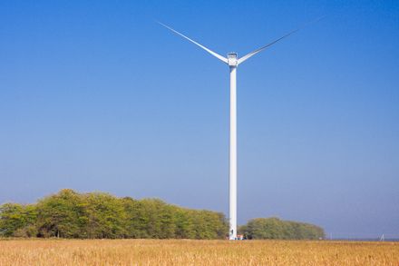 Энергия ветра: как ВЭС могут работать на энергоэффективность Украины