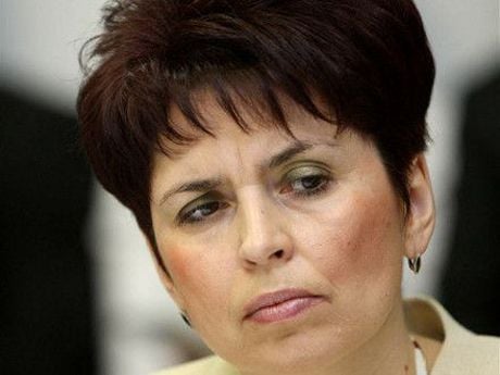 Депутат Татьяна Слюз: Правительство в бюджете-2014 создает «загашники» под президентские выборы

